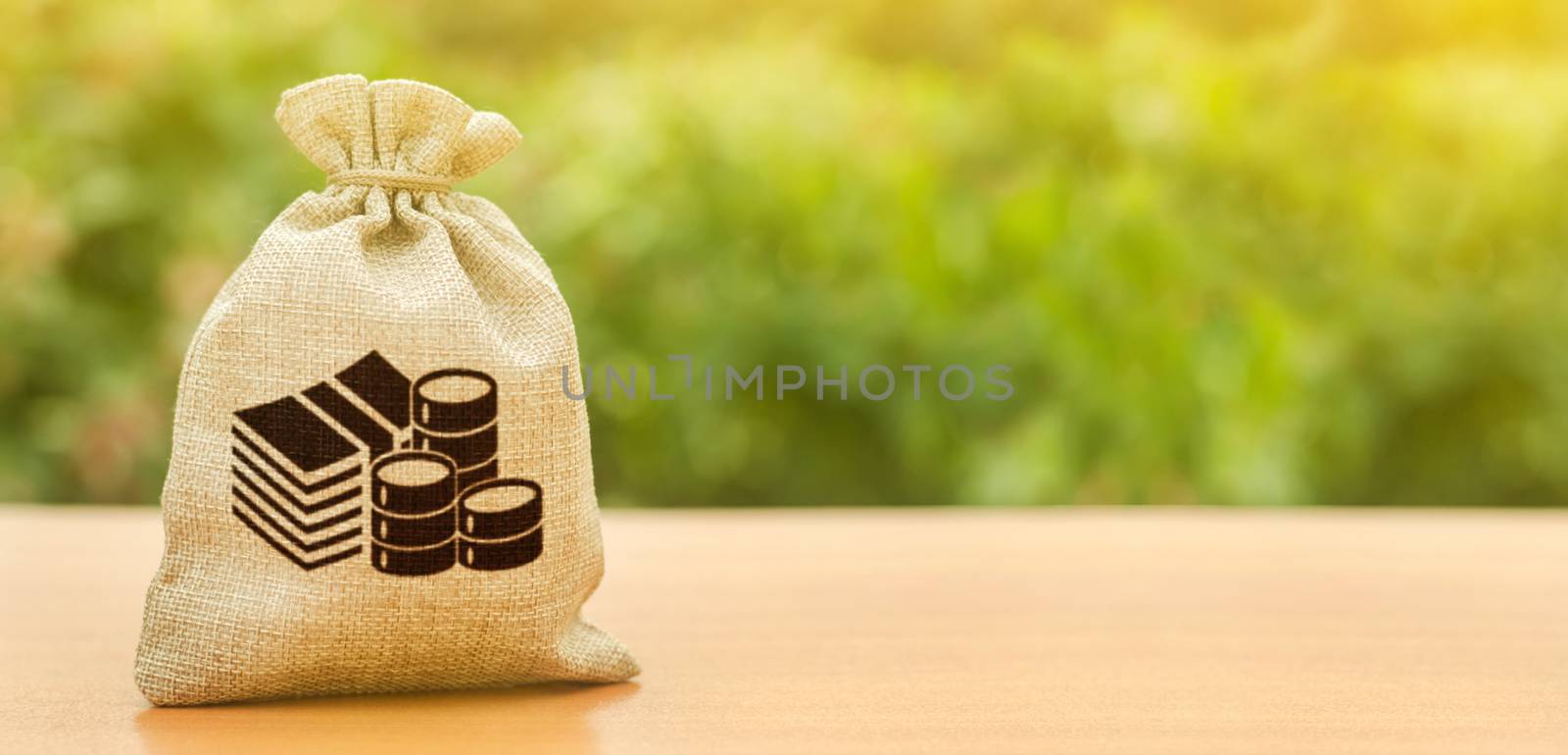 Money bag on nature background. Economics, salary. Business and industry, economic processes. Finance and budgeting, investments, bank deposit interest rates. Profit, income, earnings