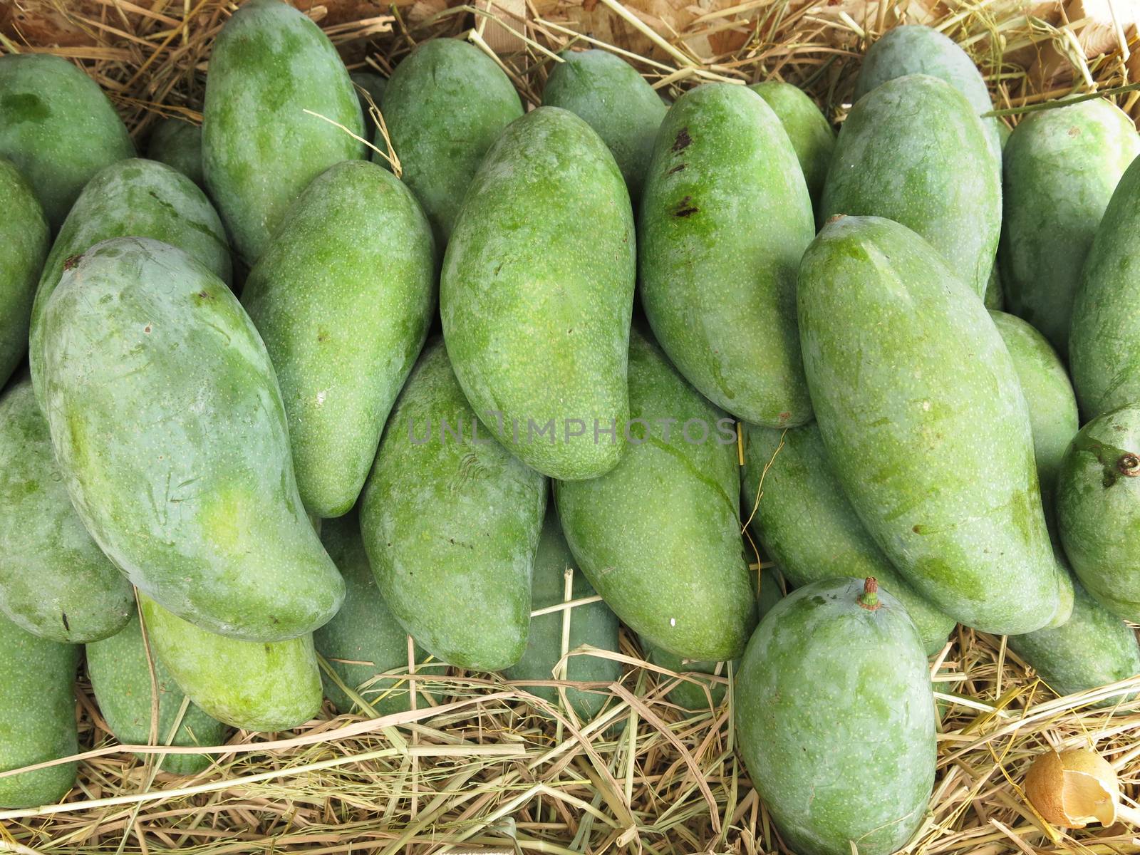 Fresh mango for sale. A pile of mango selling in a market, mango background by asiandelight