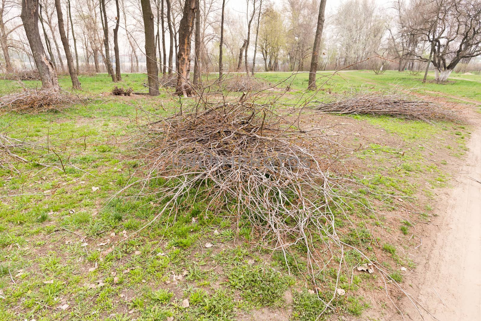 Heap of Cut Tree Branches by MaxalTamor