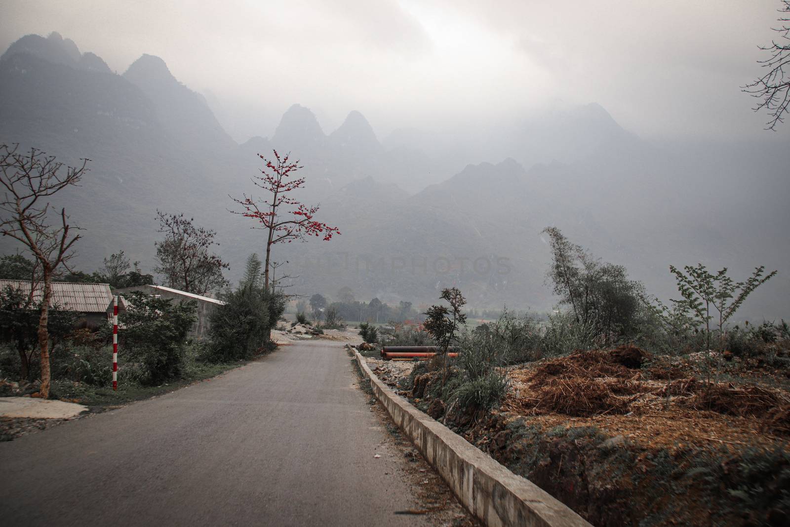 Dark and Moody Mountain Road by Sonnet15