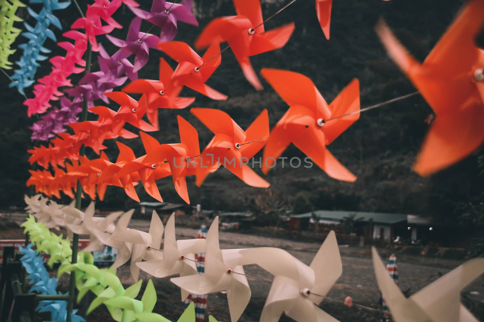 Colorful pinwheels strung together as a summer themed decoration to celebrate summer despite the covid-19 pandemic