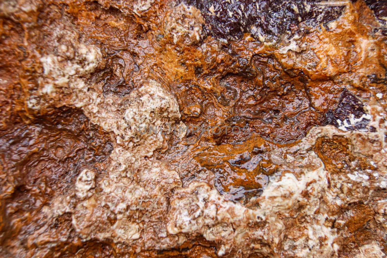 Close up texture of Granite, a light-colored igneous rock with grains and crystallization