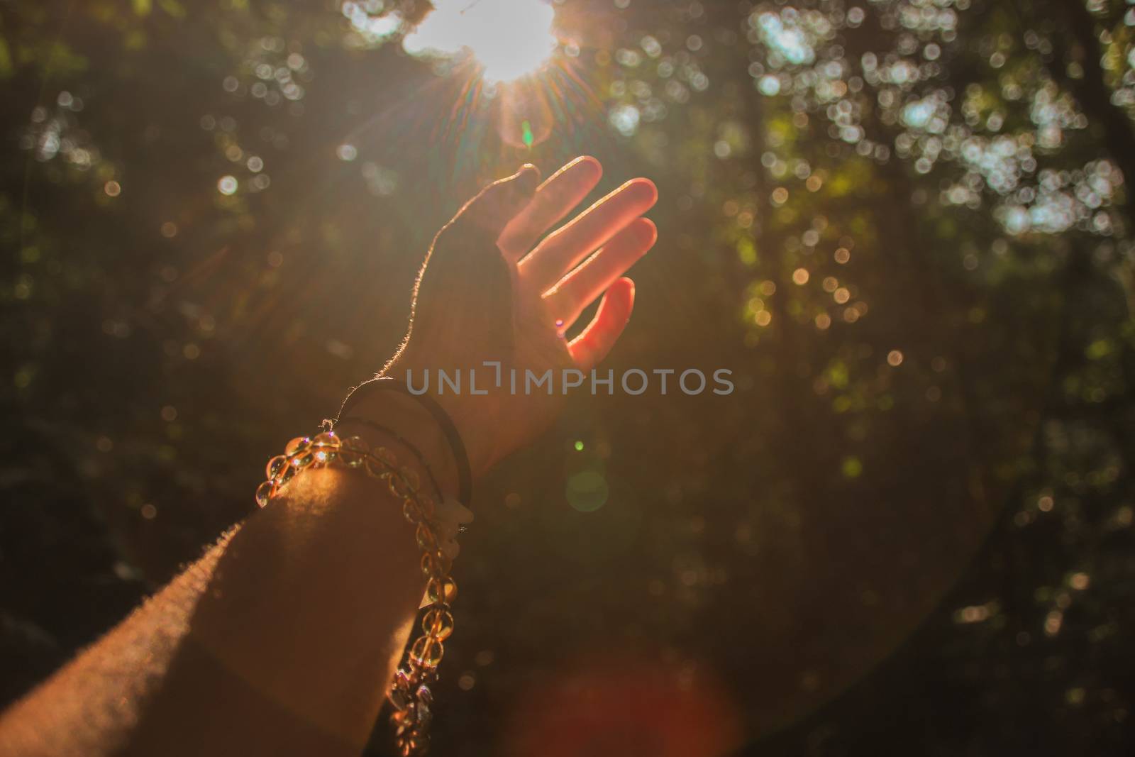 Hands to the Light by Sonnet15