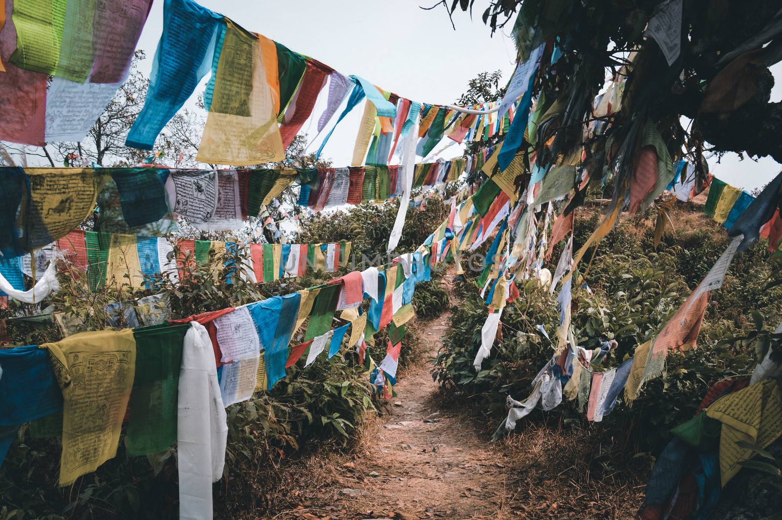 Tibetan prayer flags hanging along the trekking route to Annapurna Base Camp in Pokhara, Nepal