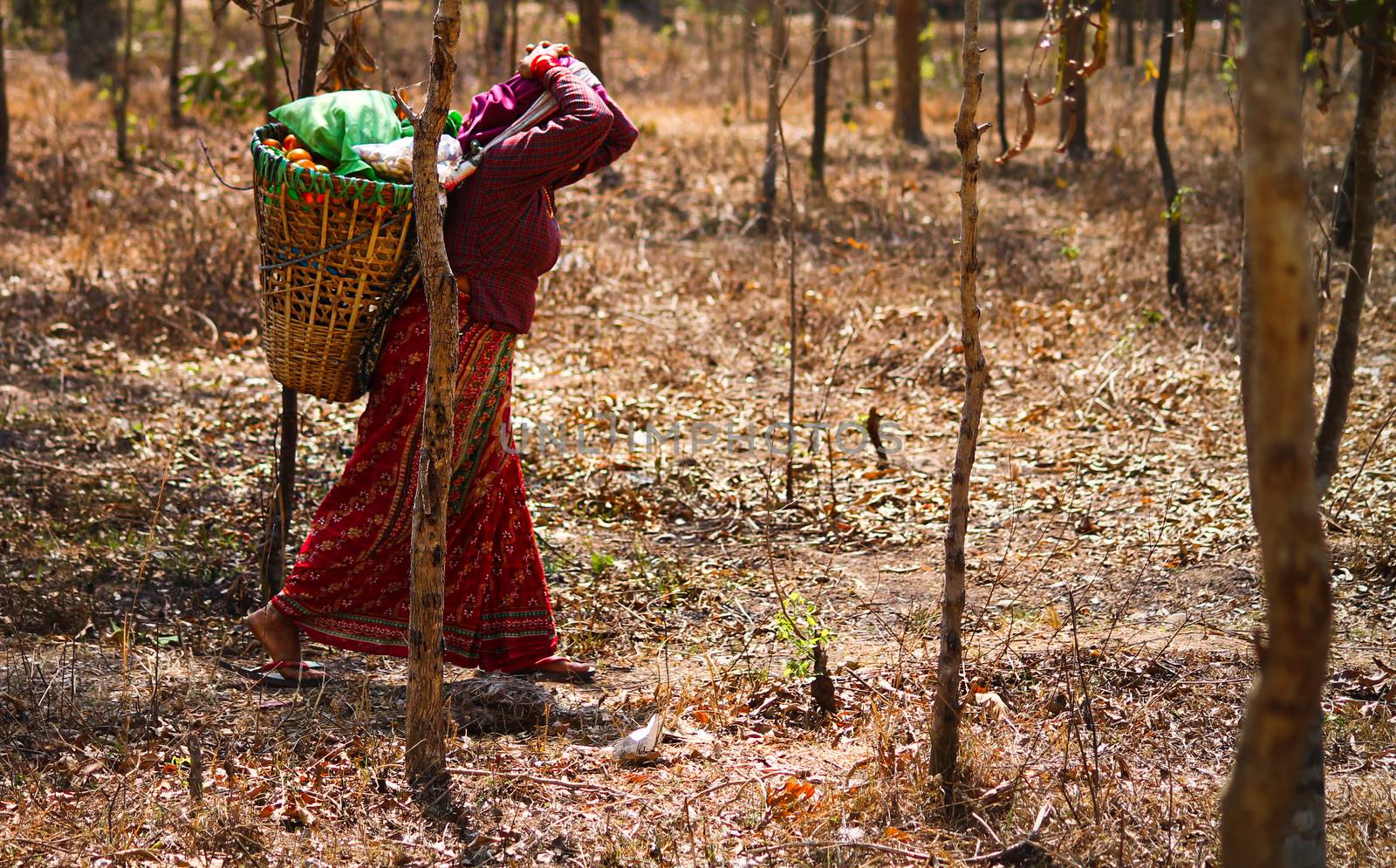 Nepalese Woman Carrying a Woven Basket by Sonnet15