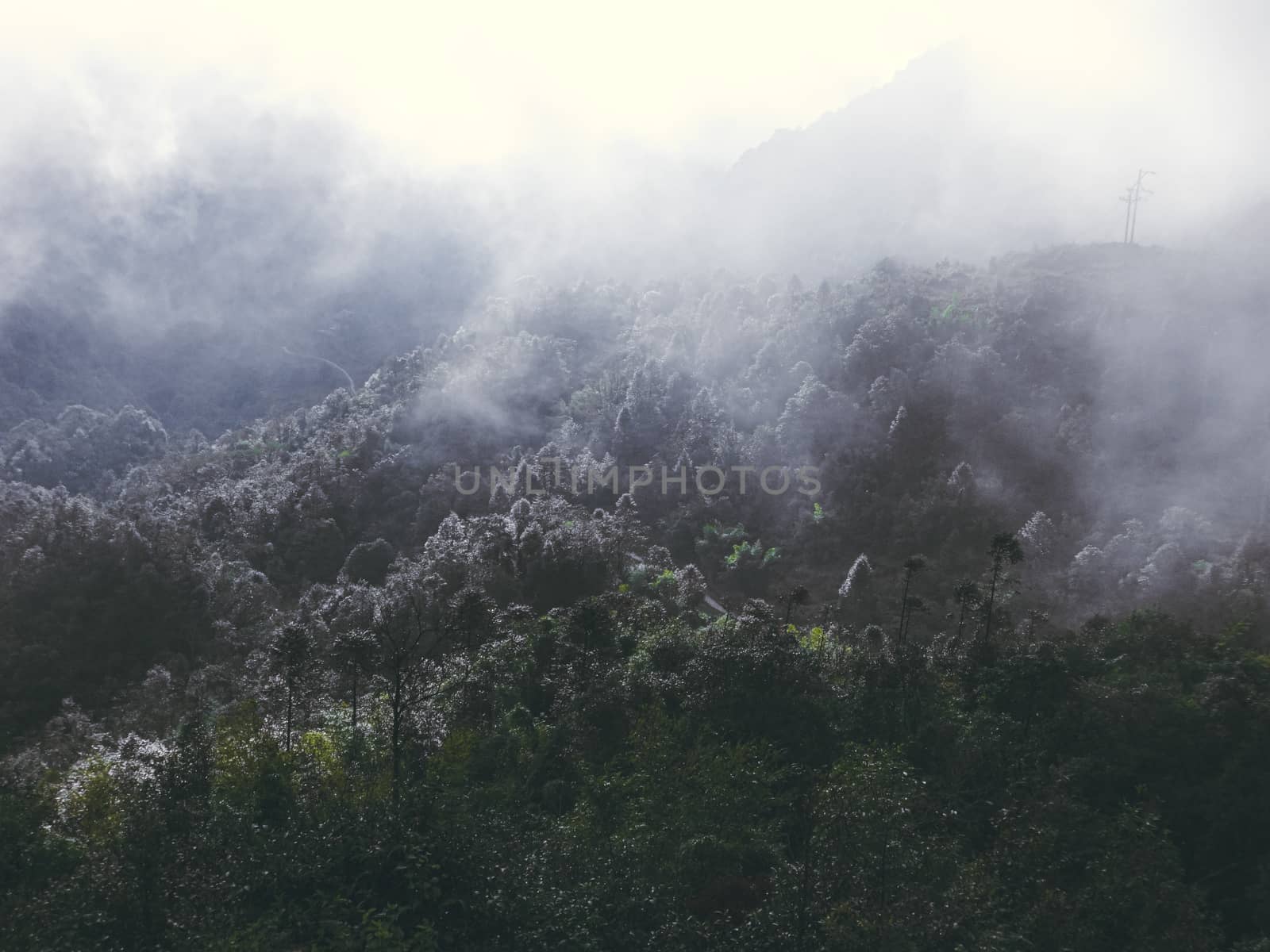 Foggy forested mountain by Sonnet15