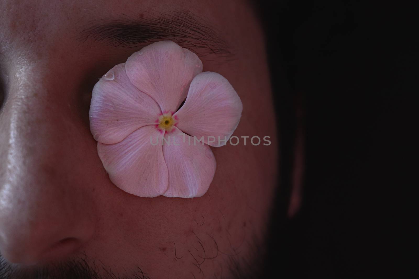 Conceptual photo of a man with flower over his eyes to show concept of pride and the LGBTQ community