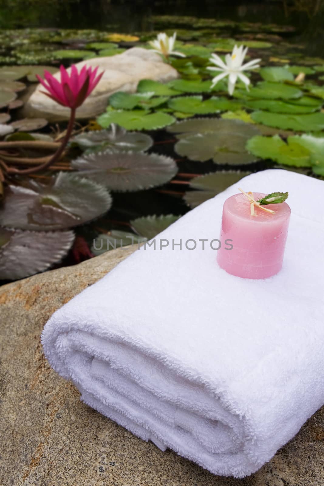 pink candle on white bath towel as spa set near lotus pond in the garden by asiandelight