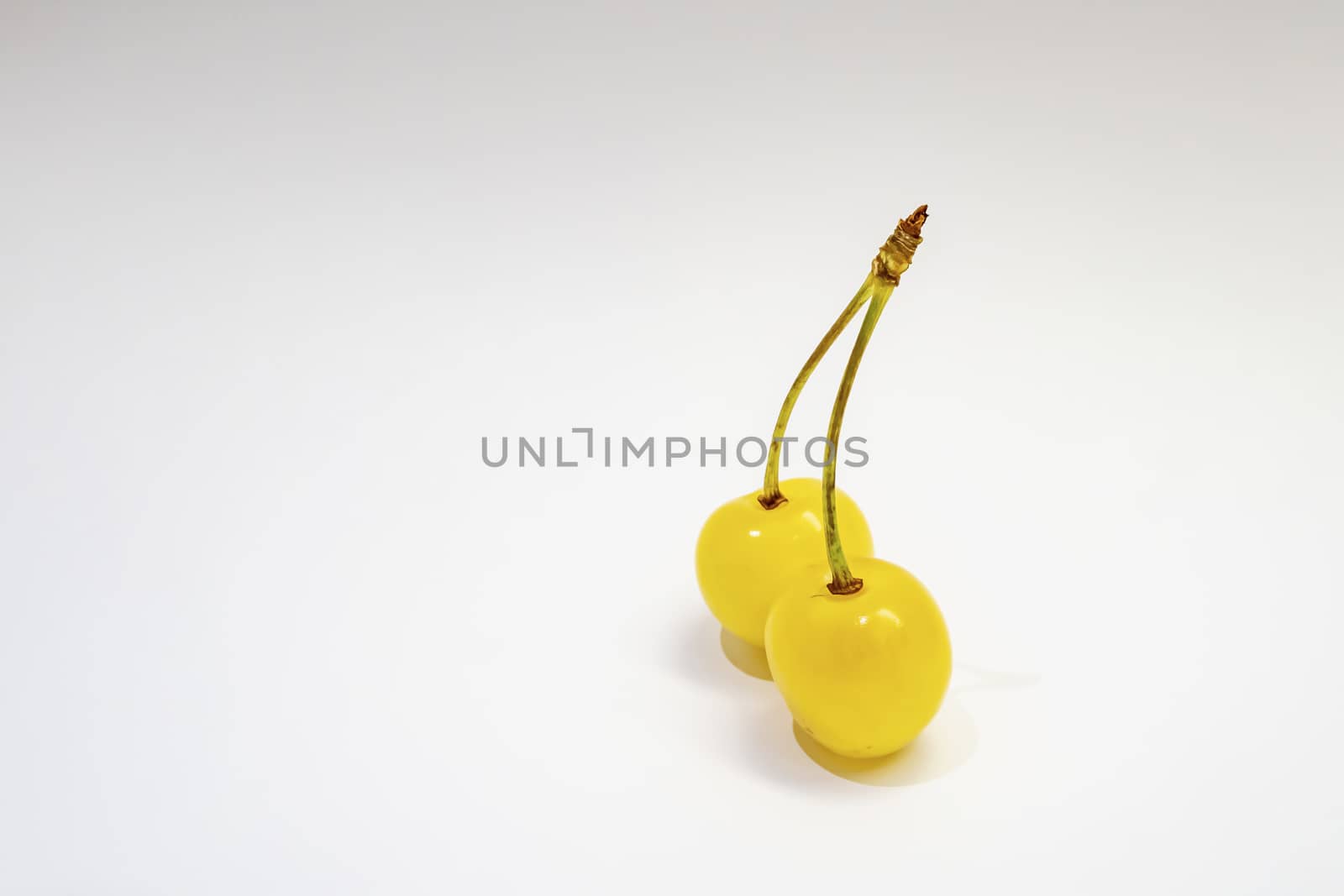 yellow cherry on a white background