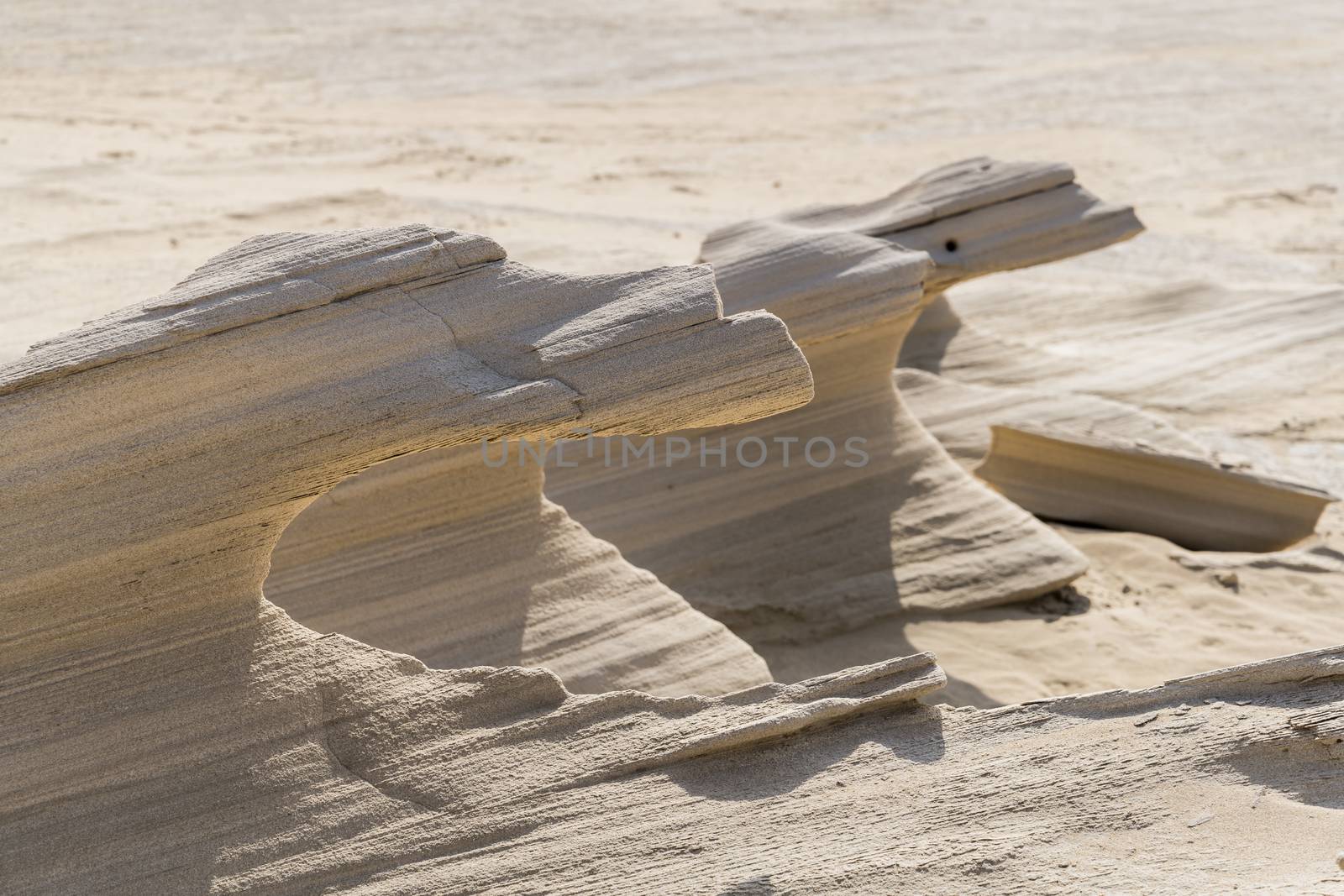 Al Wathba Fossil Dunes, Abu Dhabi, UAE by GABIS