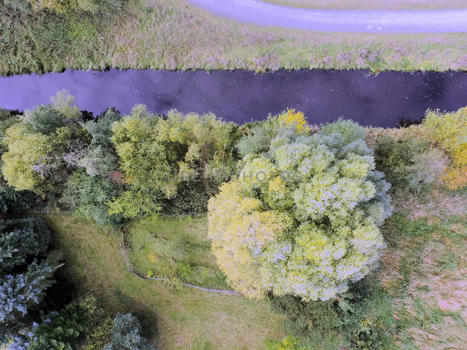 A ditch filled with water on a meadow with a tree, abstract as b by geogif