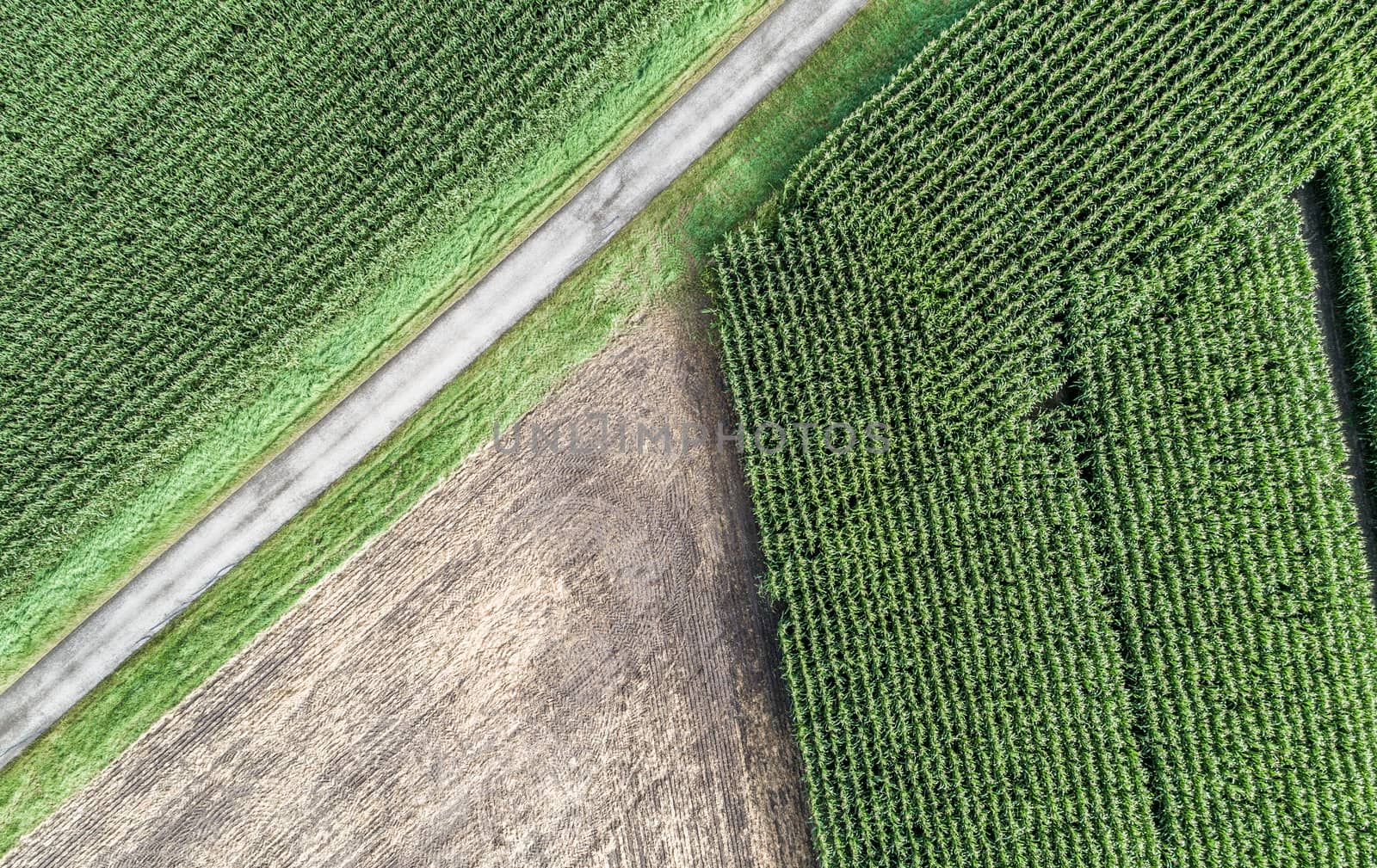 Abstract triangle. Aerial photograph of a harvested arable land  by geogif