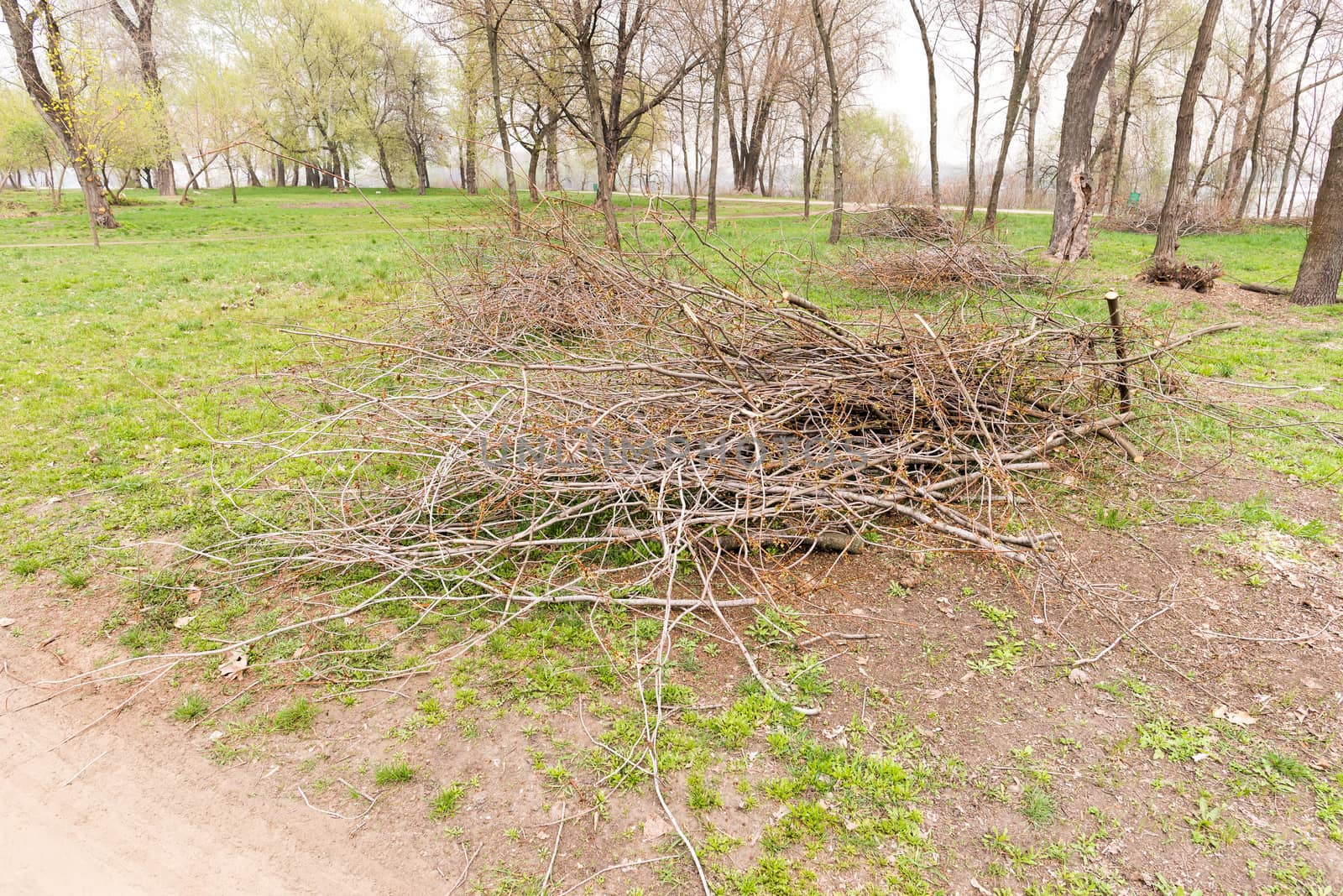 Heap of Cut Tree Branches by MaxalTamor