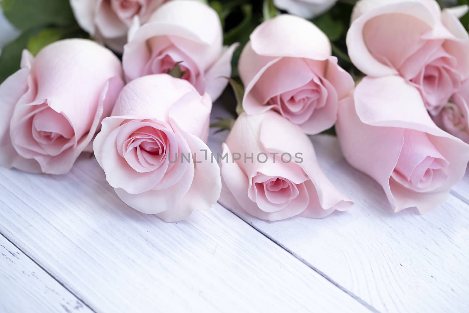 Beautiful bouquet of soft pink roses by Nawoot
