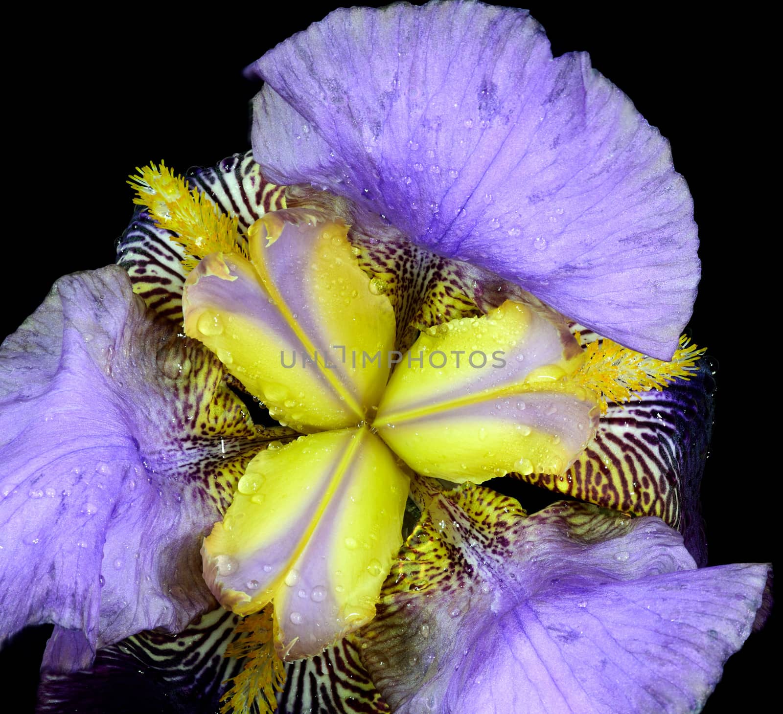 Beautifully presented and photographed florals in the Studio.