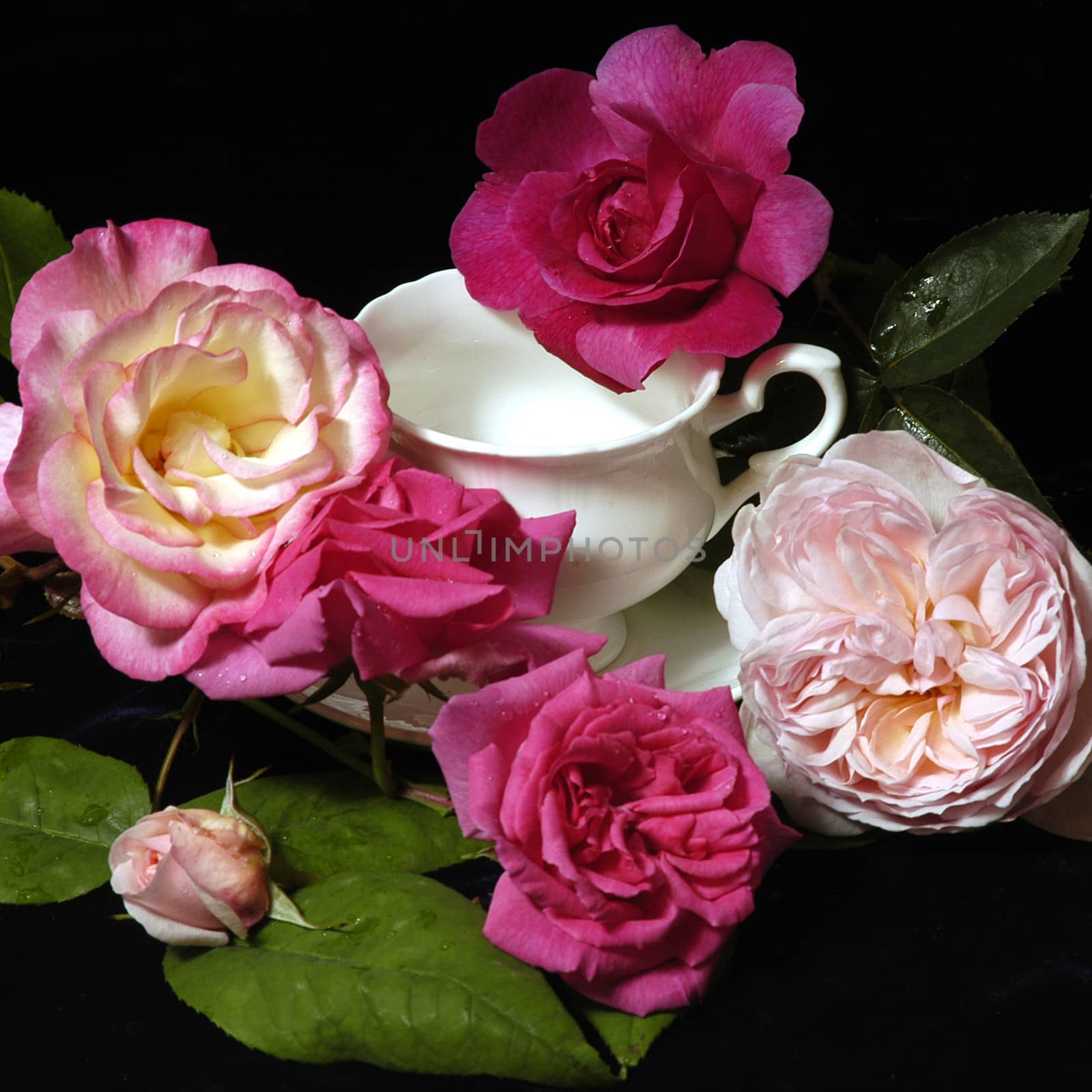 Beautifully presented and photographed florals in the Studio.