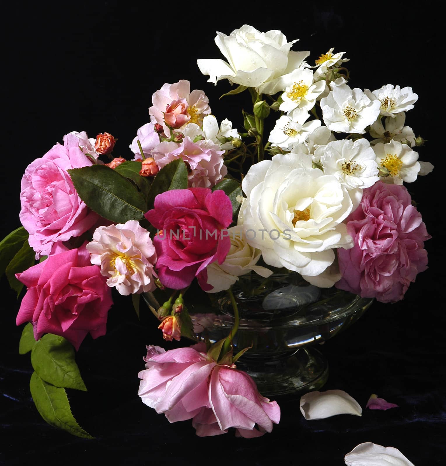 Beautifully presented and photographed florals in the Studio.