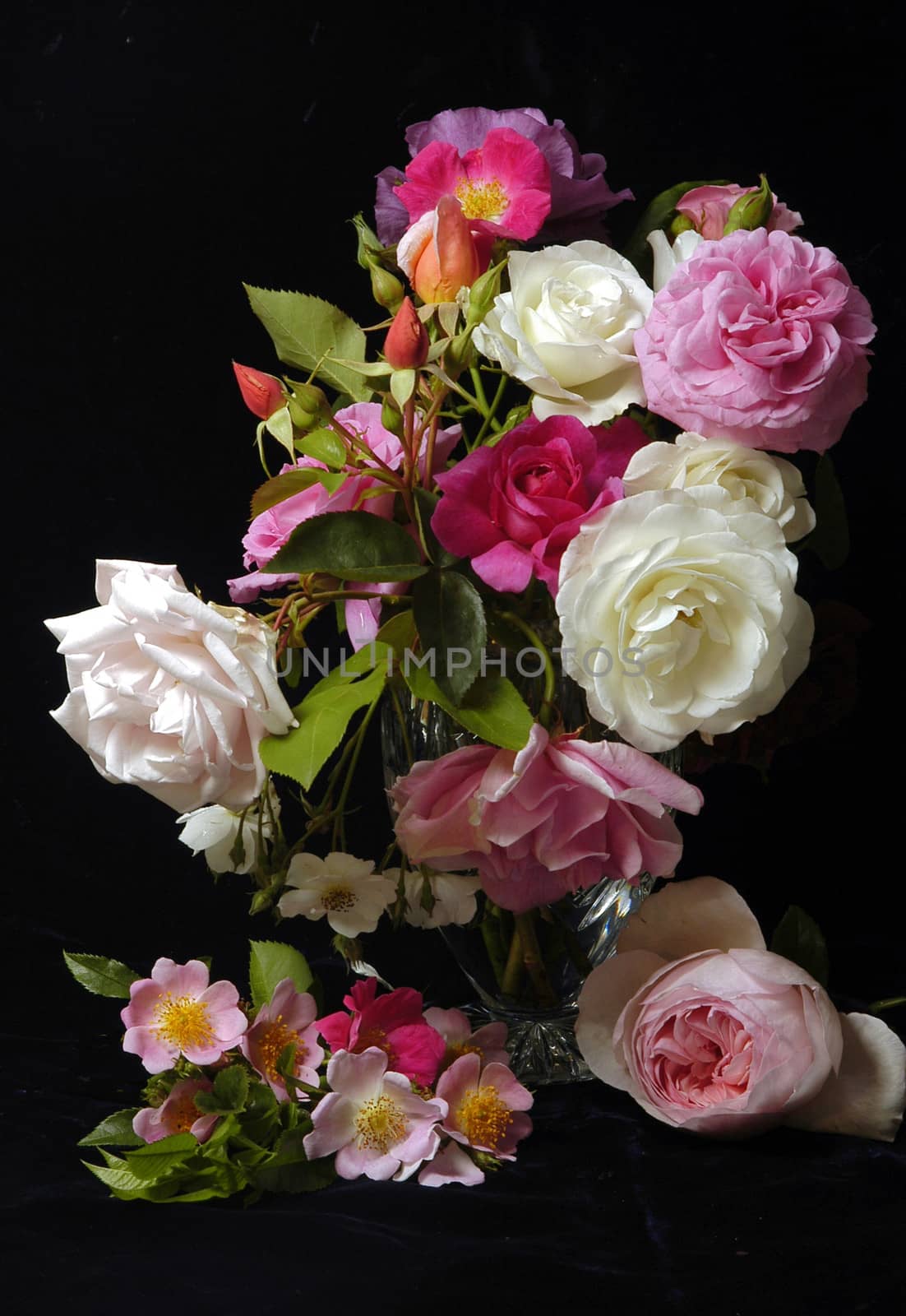 Beautifully presented and photographed florals in the Studio.
