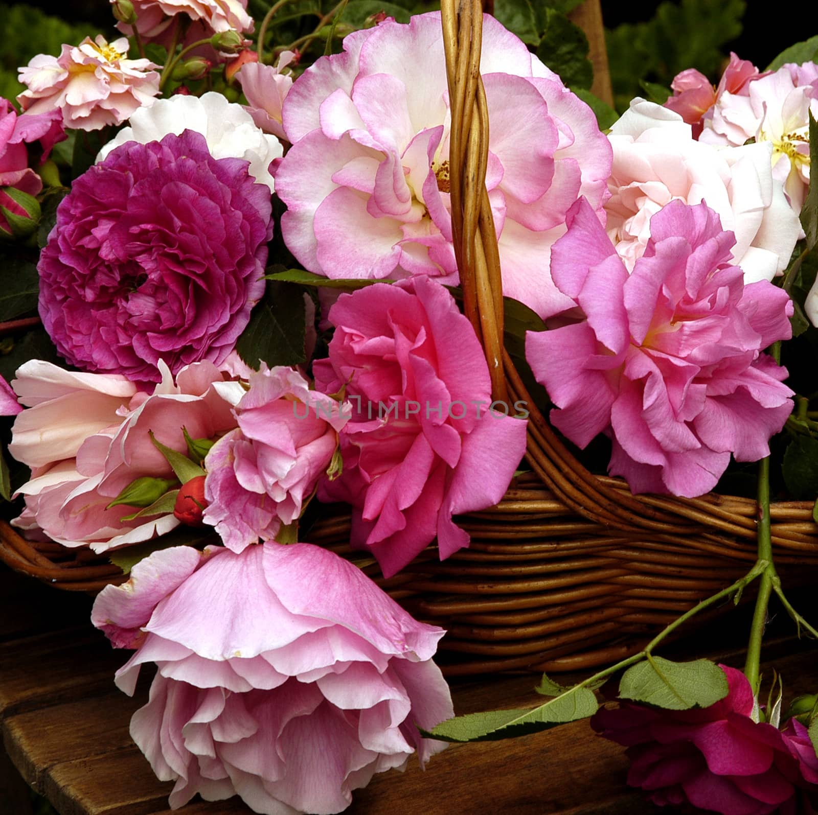 Beautifully presented and photographed florals in the Studio.