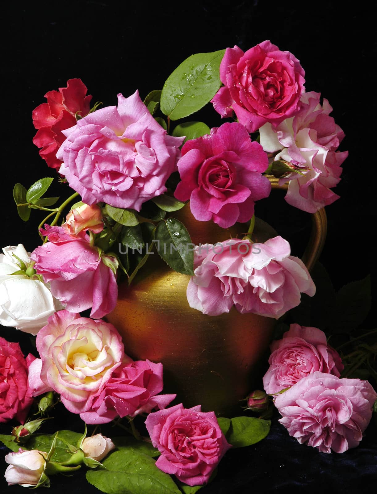 Beautifully presented and photographed florals in the Studio.