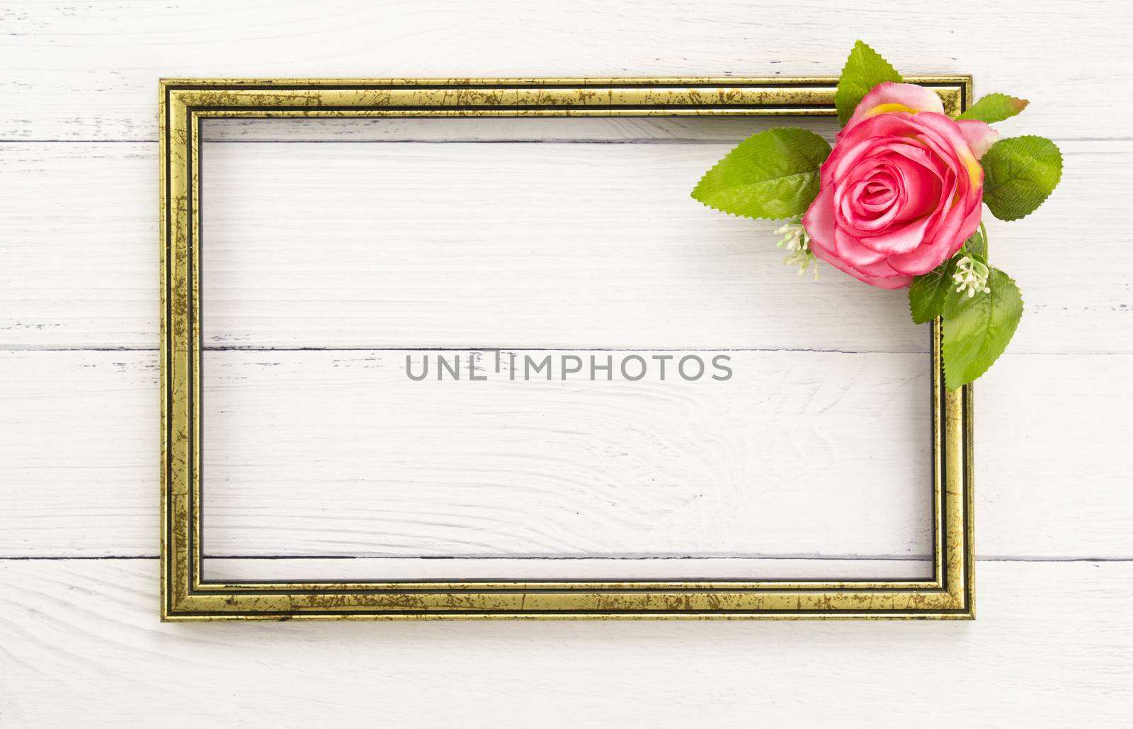 Gold colored wooden frame and a beutiful pink rose. Mock up with copy space for text. White background.