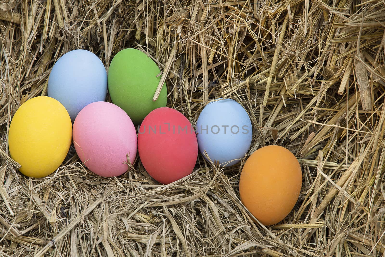 Colorful paint eggs on straw background. Happy Easter eggs hunting concept.
