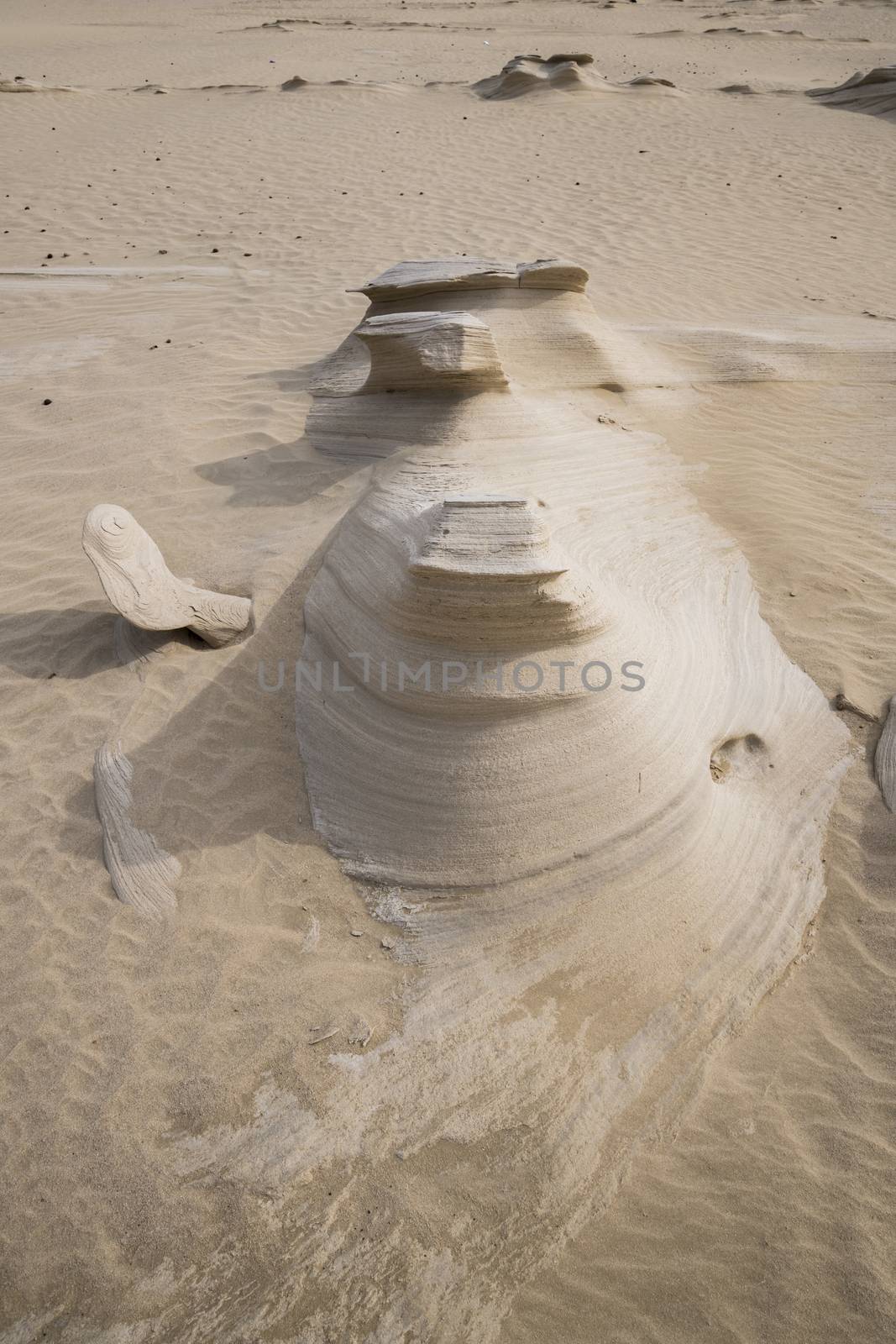 Al Wathba Fossil Dunes, Abu Dhabi, UAE by GABIS