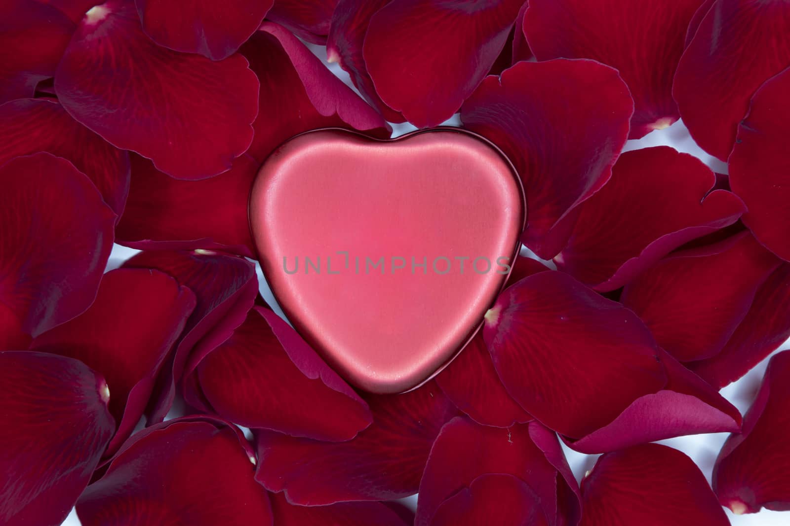 A shiny red metal heart on a bed of red rose petals