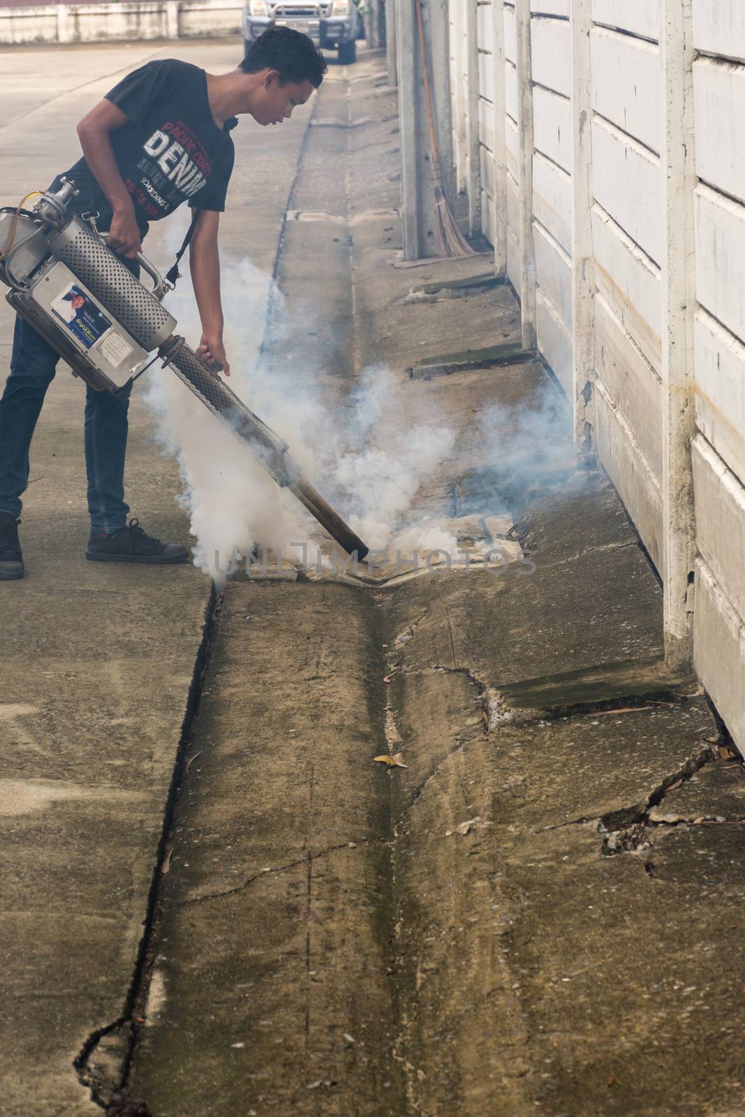 Fogging DDT spray mosquito kill for virus protect by PongMoji