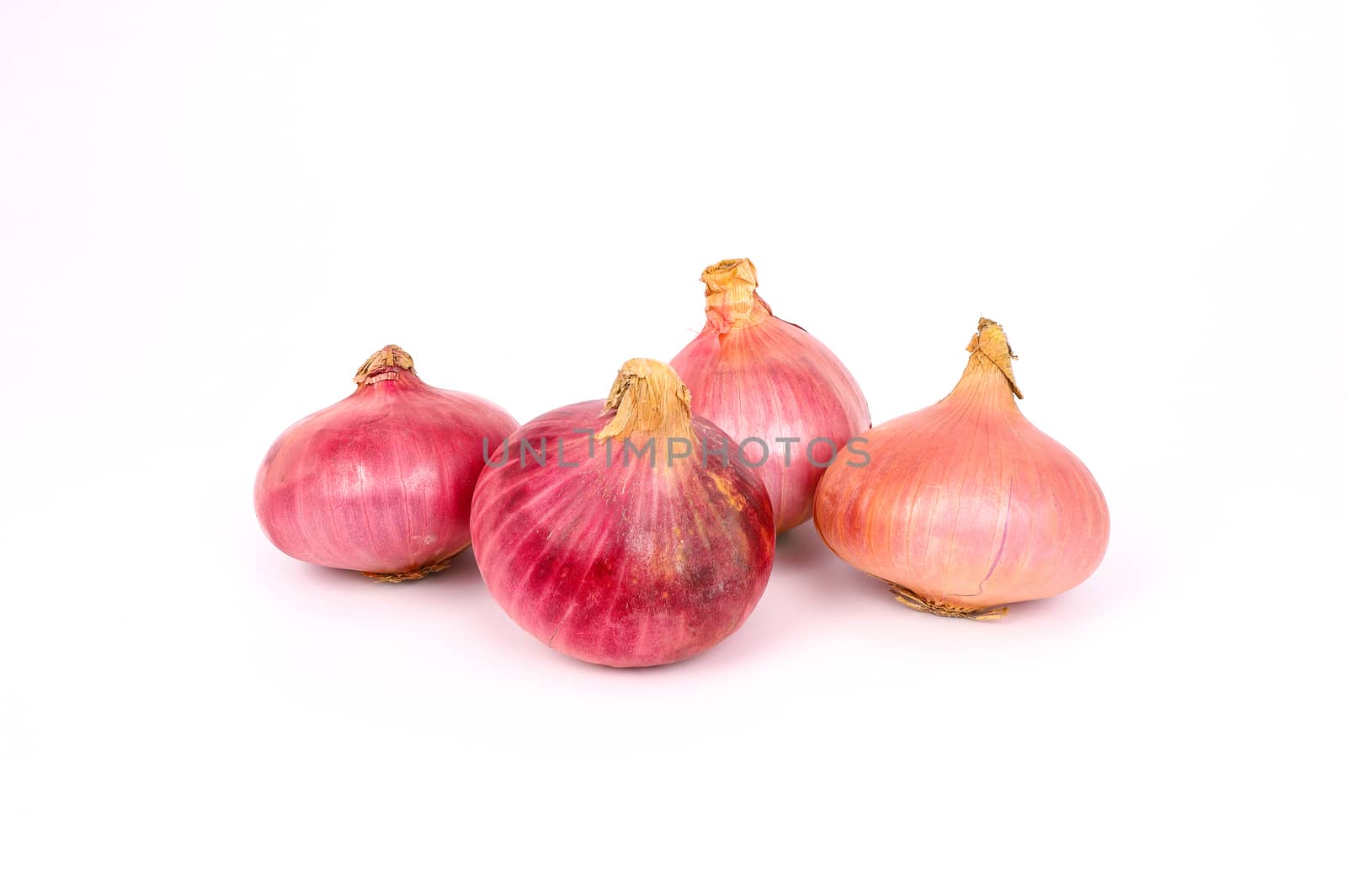 Top view of fresh organic onions isolated on white background