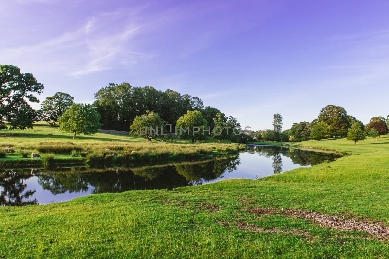 a bend in the River Bela at Dallam Park, Milnthorpe, Cumbria, UK