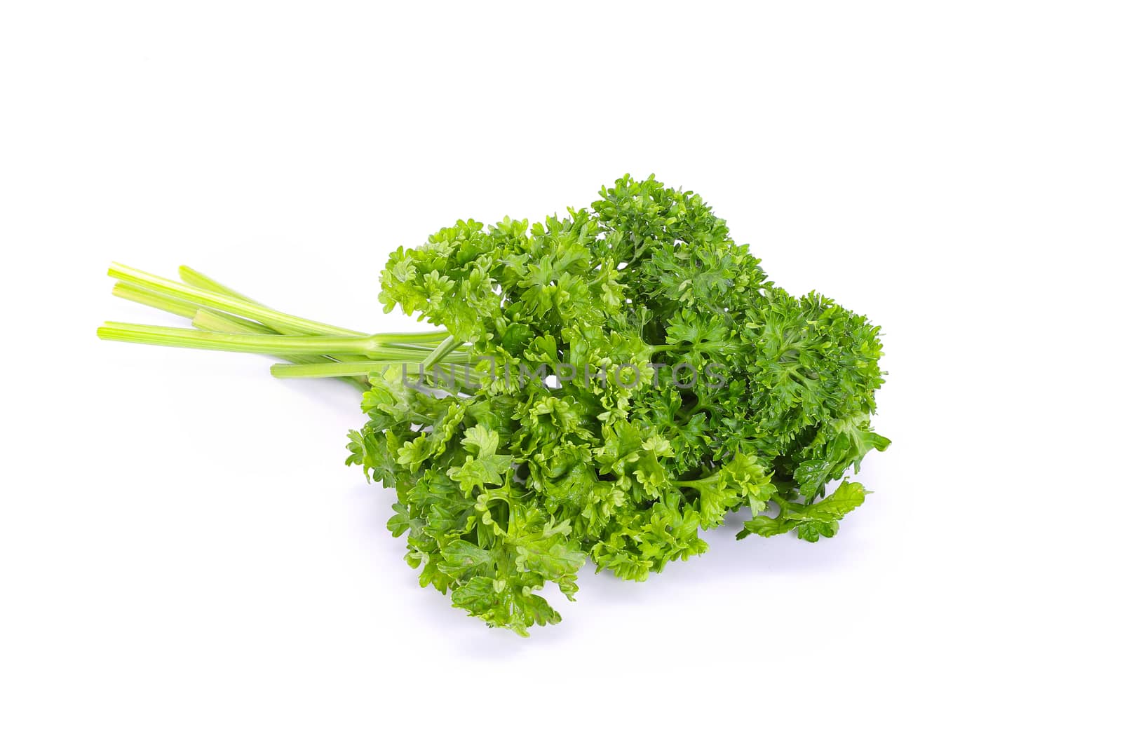 Top view of fresh organic coriander isolated on white background