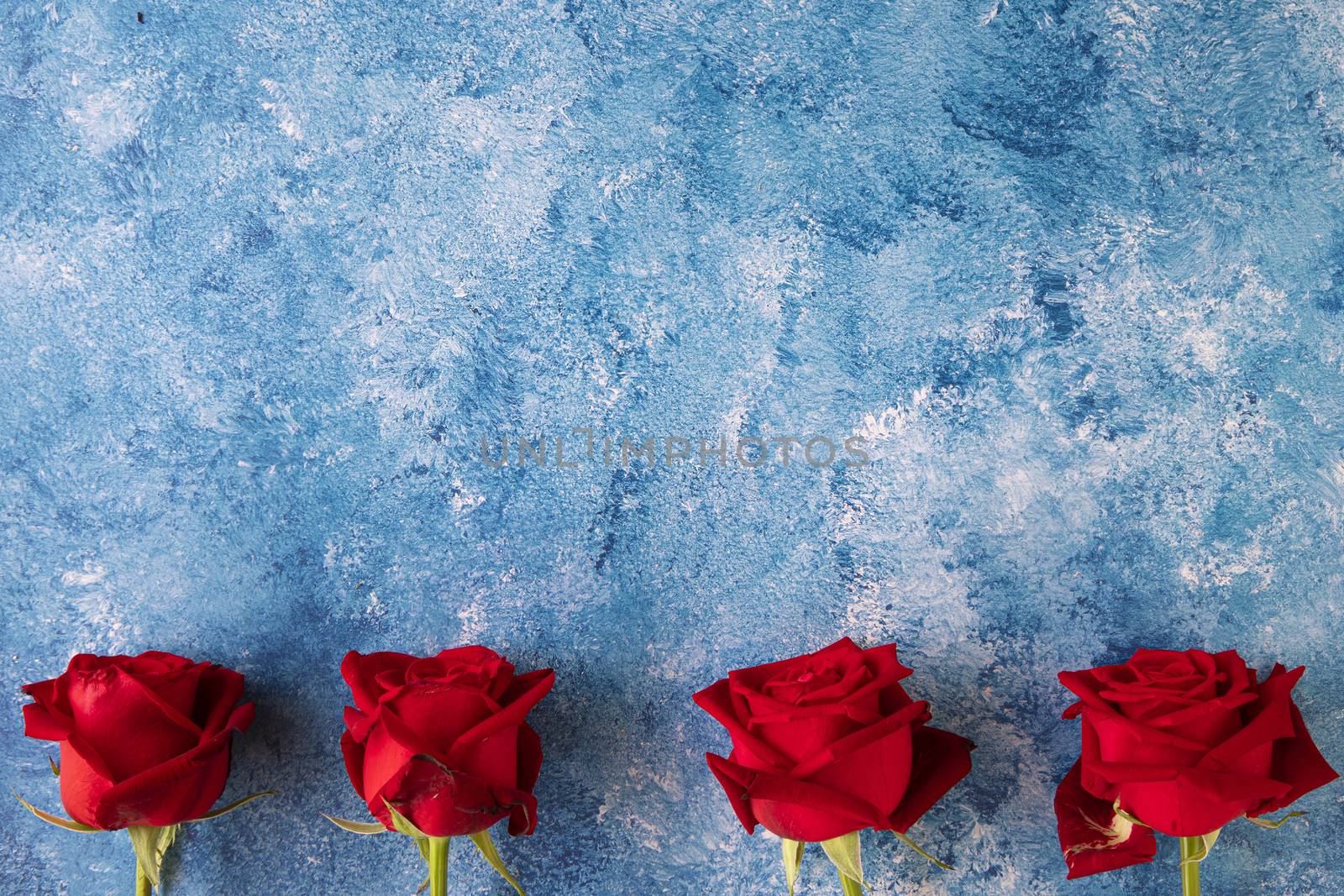 Beautiful blooming red roses on blue and white acrylic background.