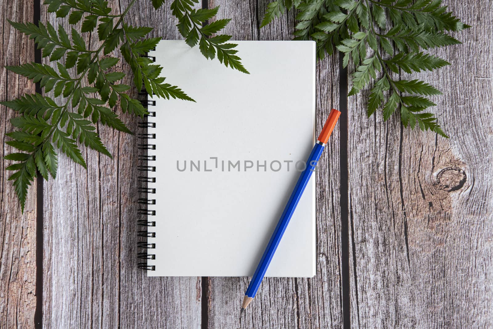 A notebook on wood background by Nawoot