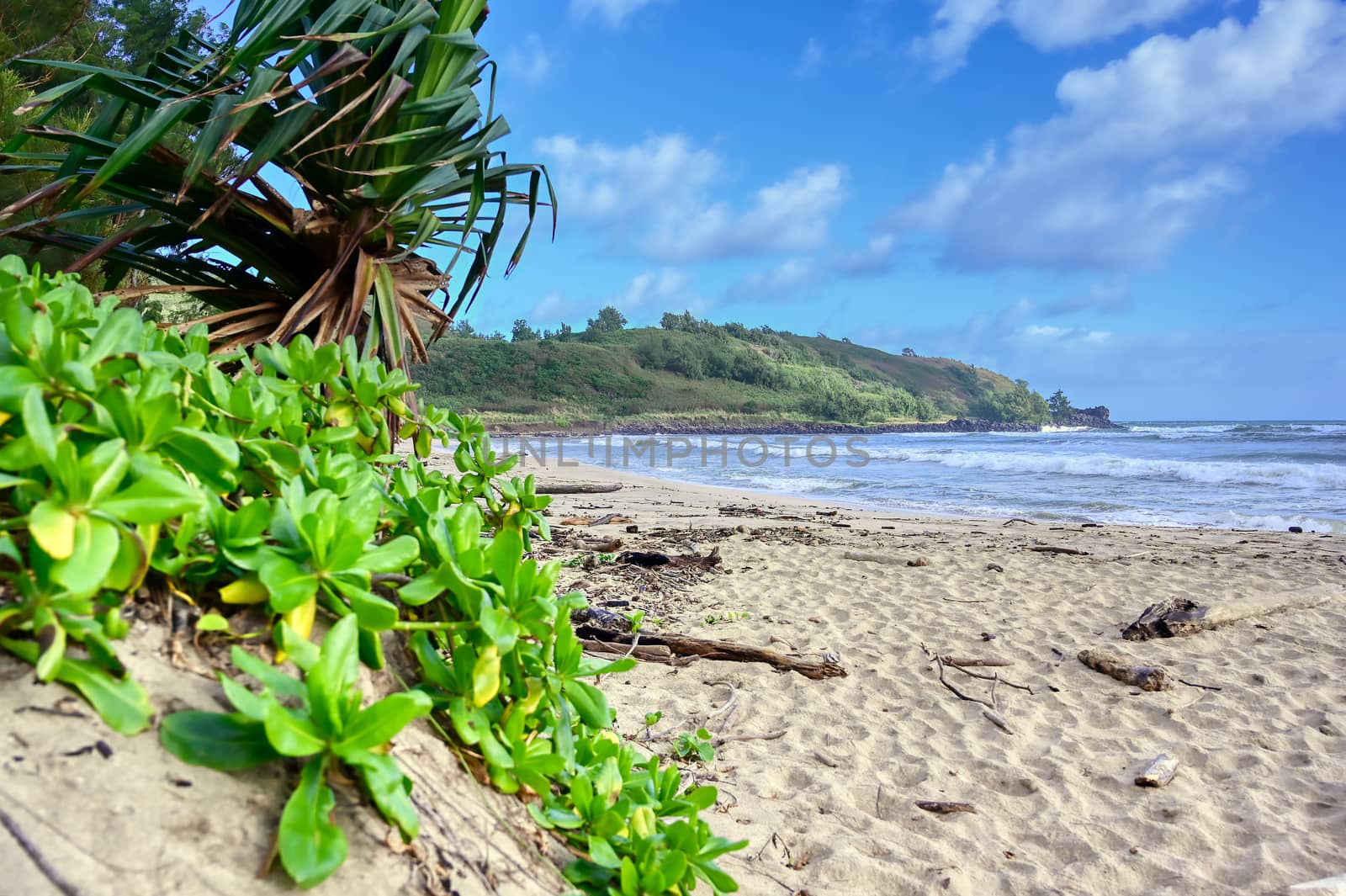 The beach along the coast of Kauai, Hawaii.