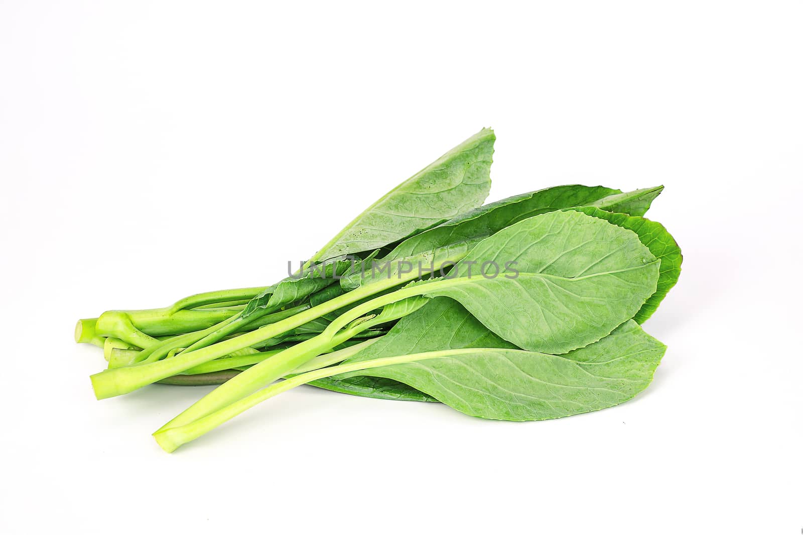 top view of fresh pesticide free Chinese kale isolated on white background