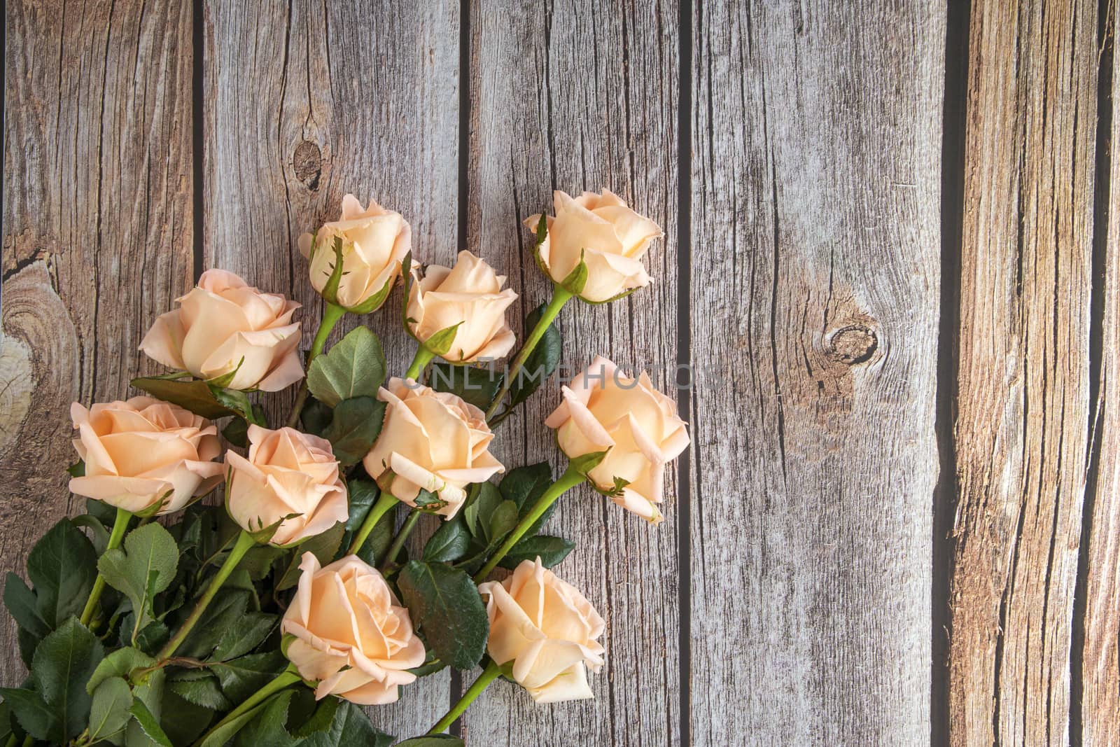 Flat view image of a bouquet of peach color roses, on brown wooden background