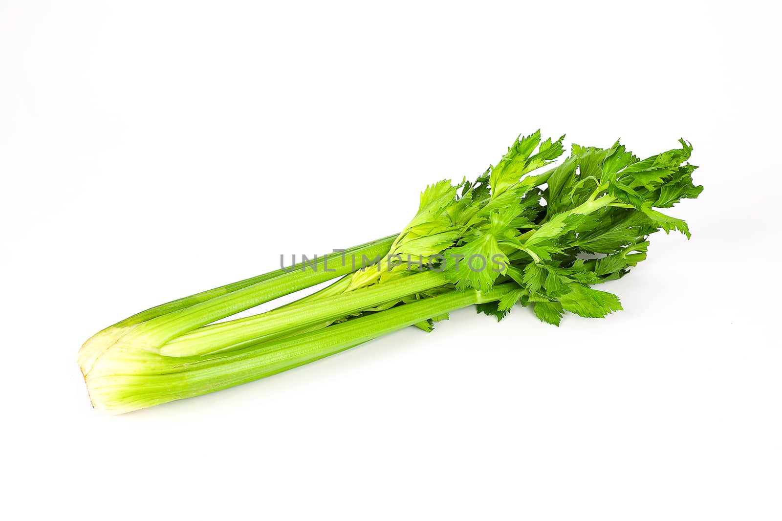 top view of fresh organic celery isolated on white background