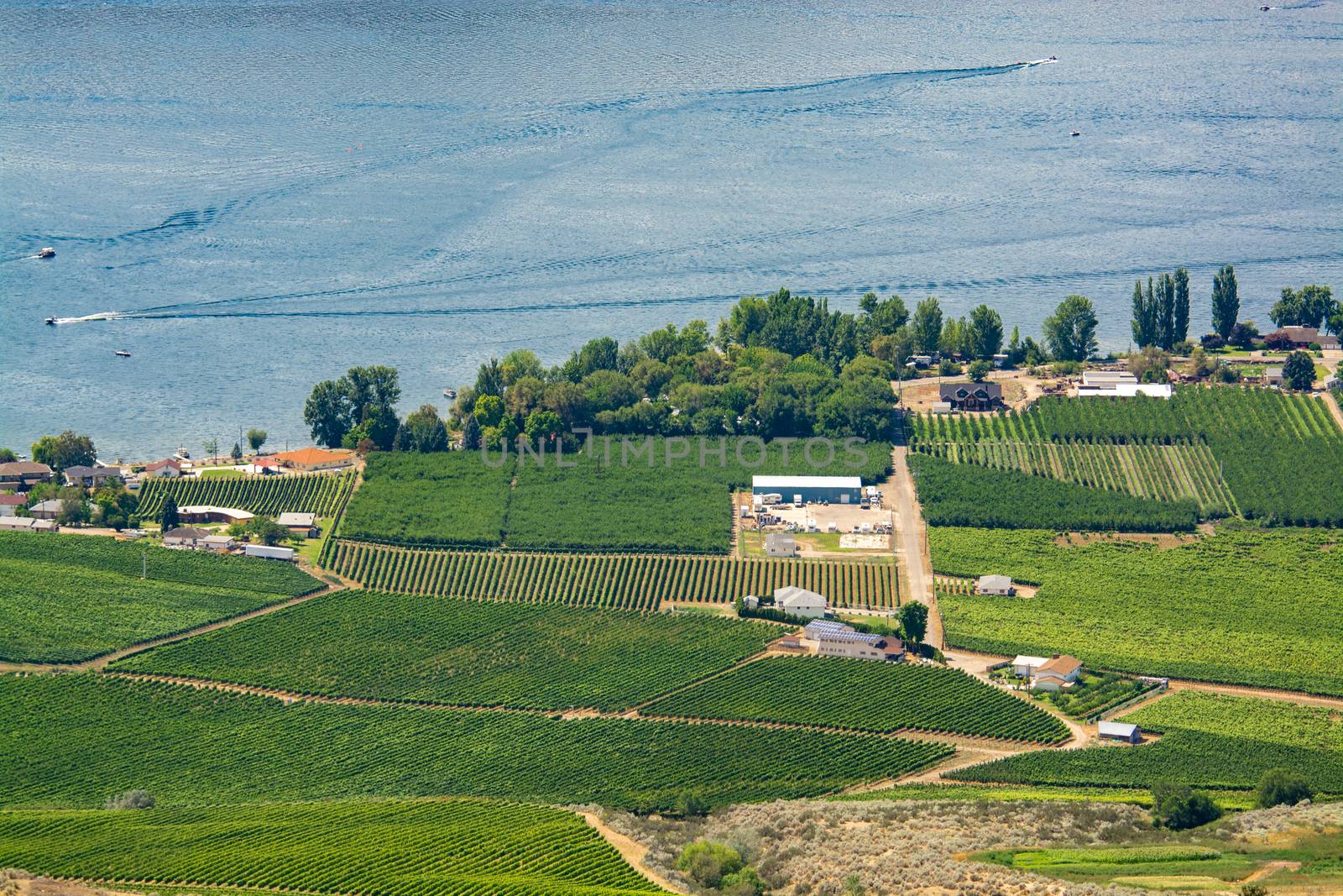 Landscape overview with farmer's land and houses at Okanagan lake on summer day