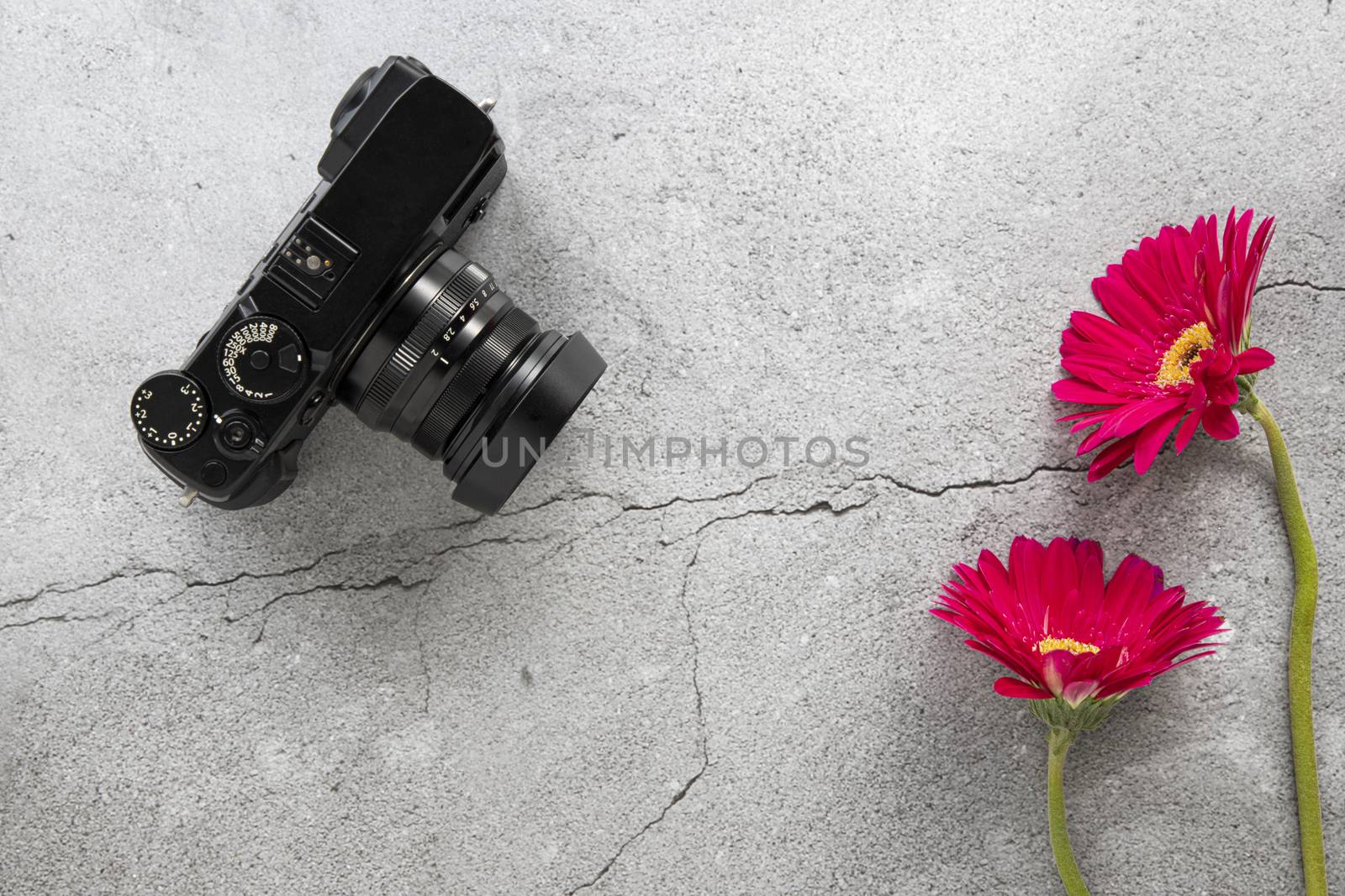 A modern DSLR camera and red gerbera flowers on cracked concrete background. Top view, flat lay design with copy space.