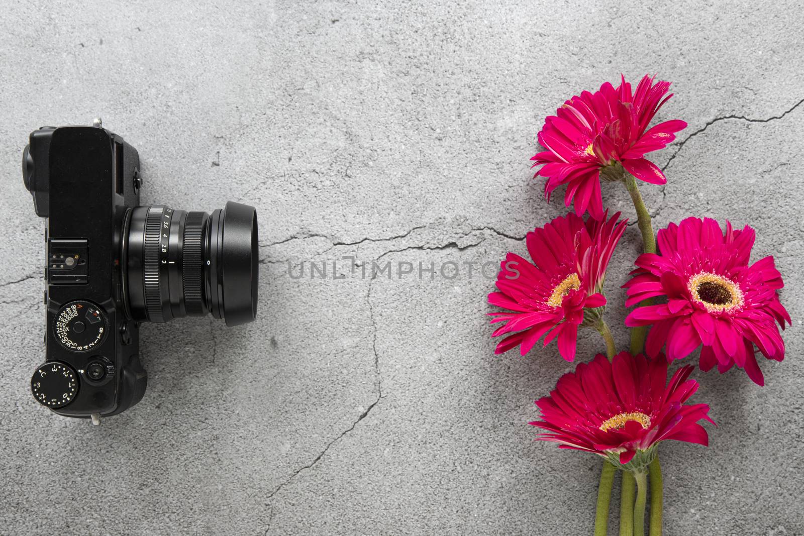 A camera and red flowers by Nawoot