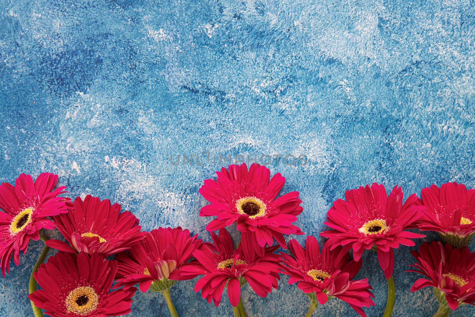 Bright red gerbera on blue and white acrylic paint background by Nawoot