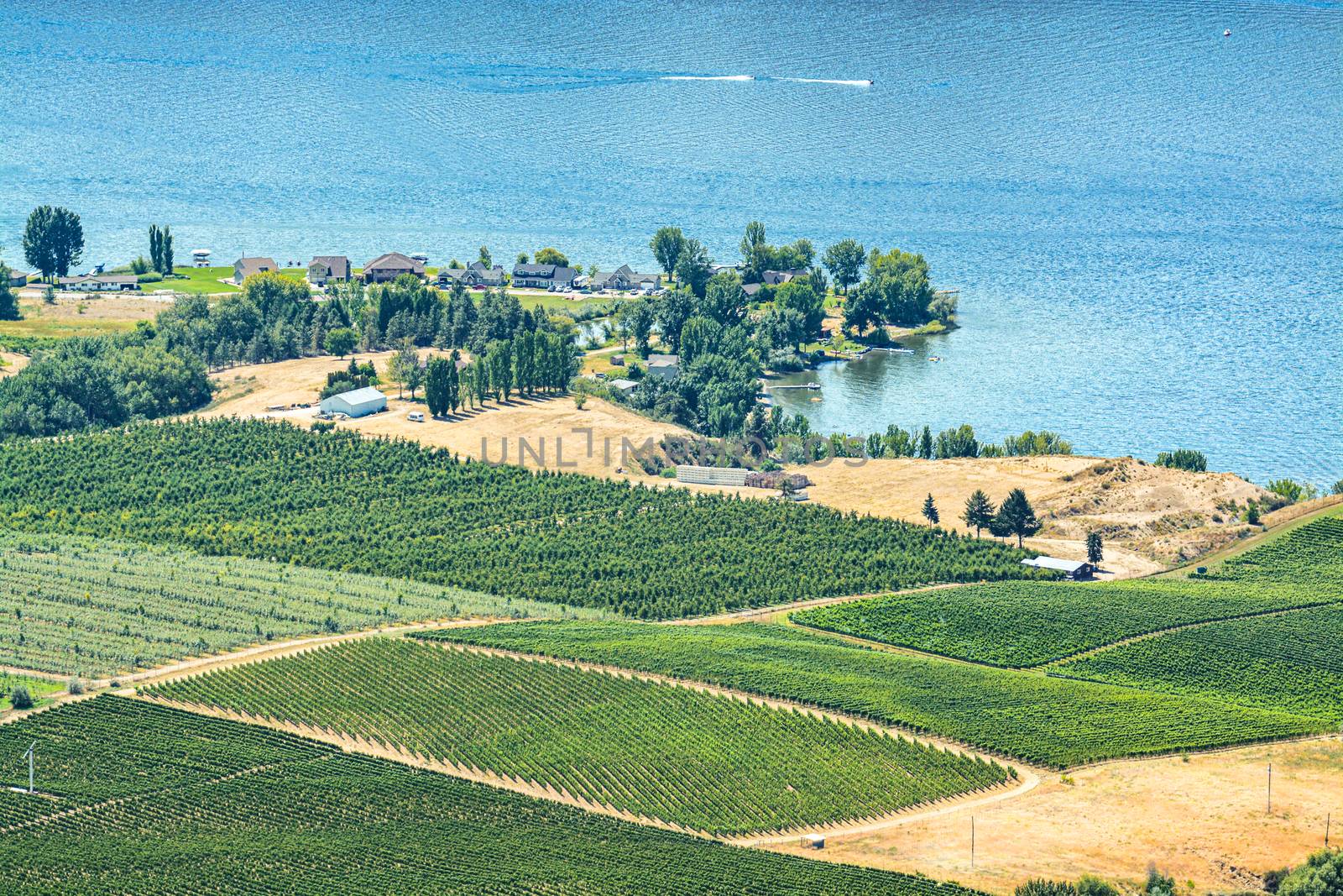 Landscape overview with farmer's land and houses at Okanagan lake on sunny summer day