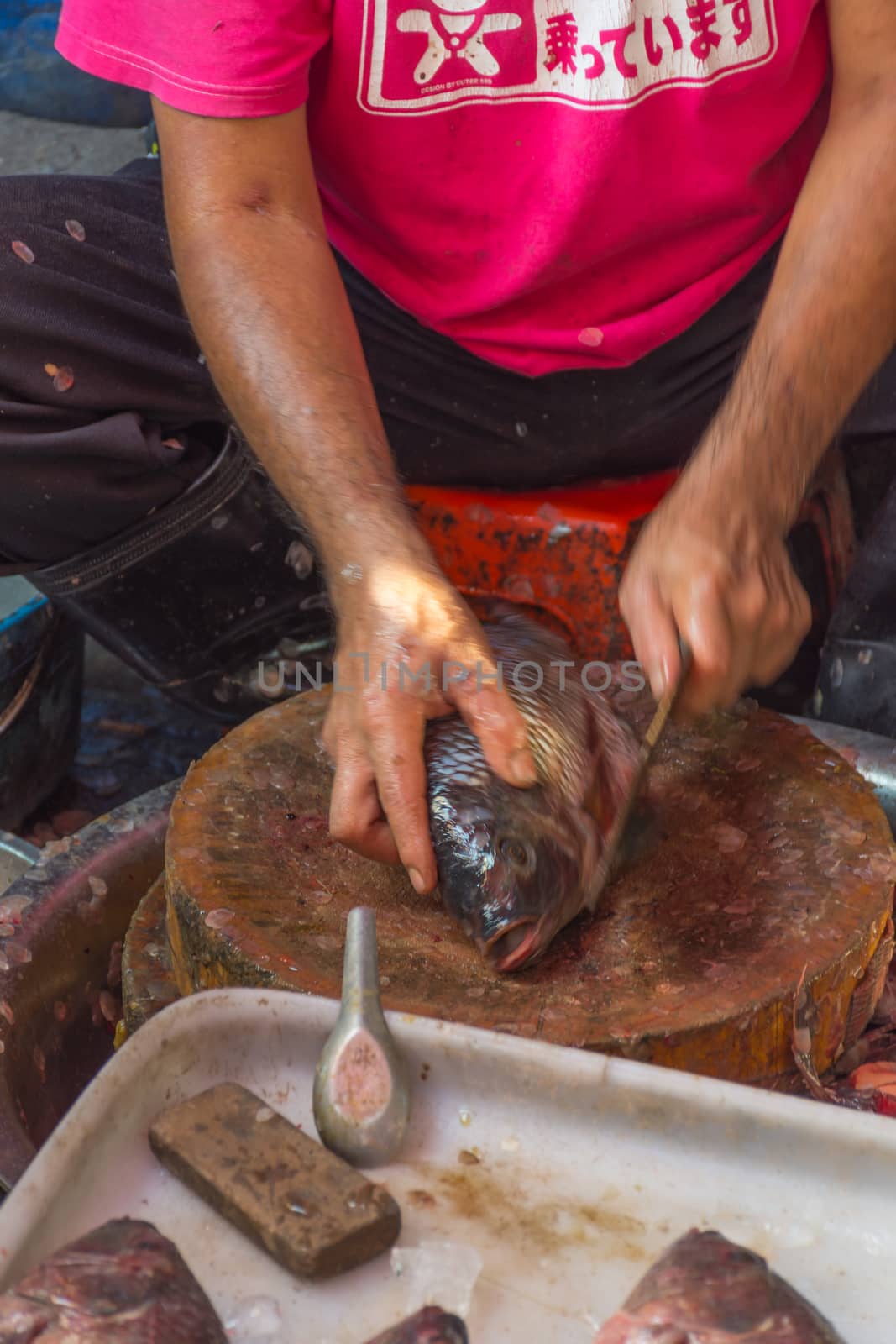 Bangkok, Thailand - April 4, 2016 : Fish chop for cooking a food in Thai market