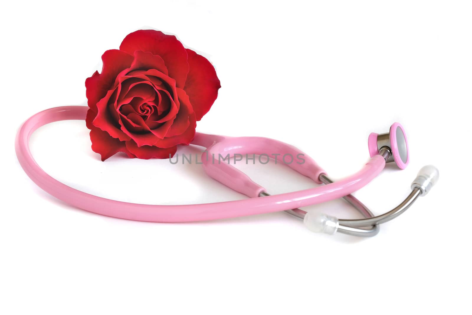 a pink stethoscope and a red rose by Nawoot