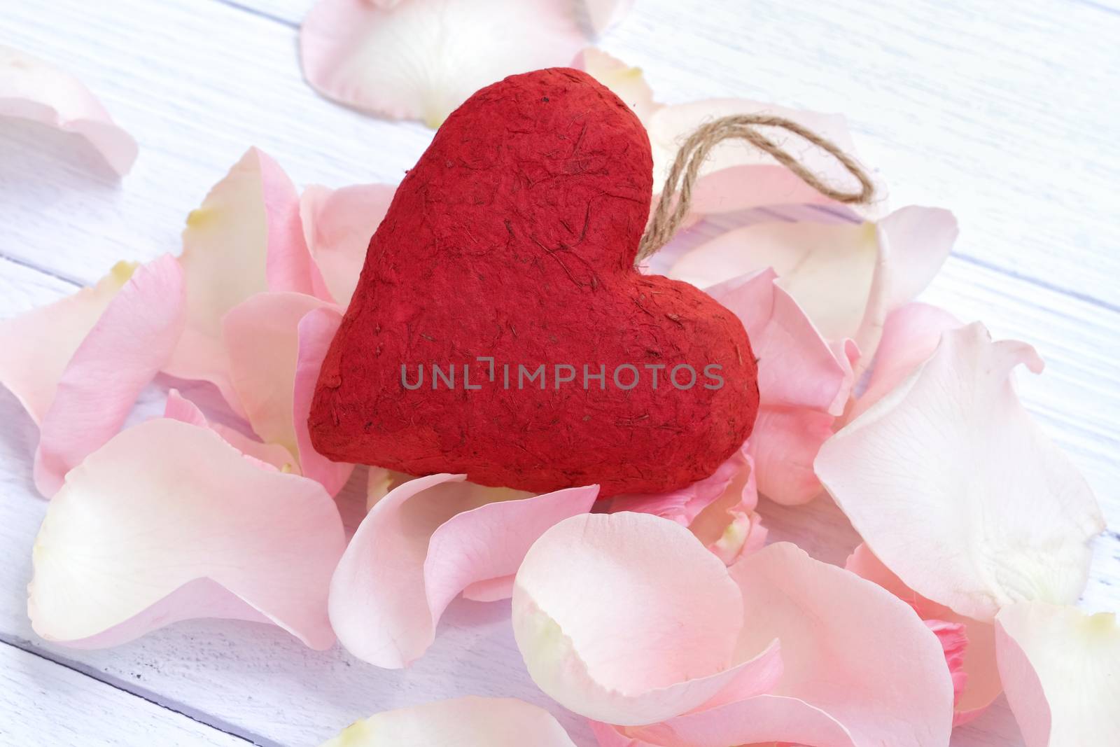 A red paper mache heart on a bed of pink rose petals by Nawoot
