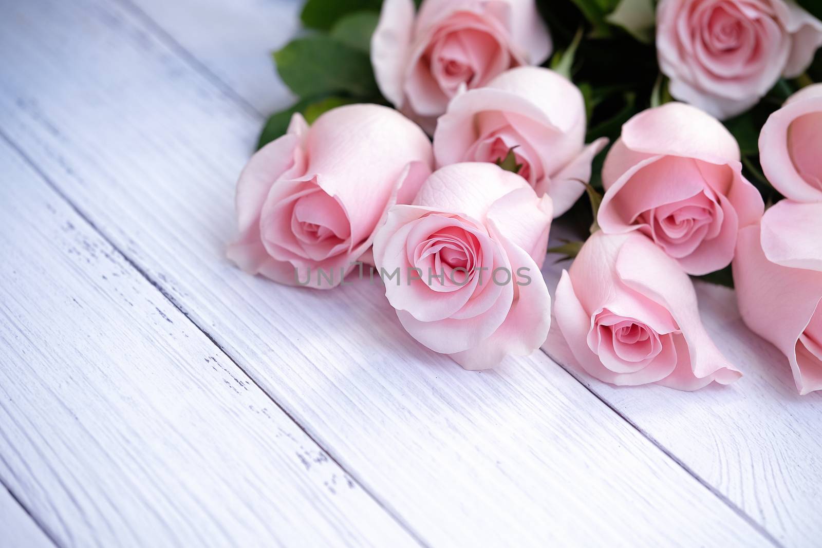Beautiful bouquet of pink roses on cream-colored wood background. Selective focusing. Love, Romance, Valentine's Day, Anniversary.