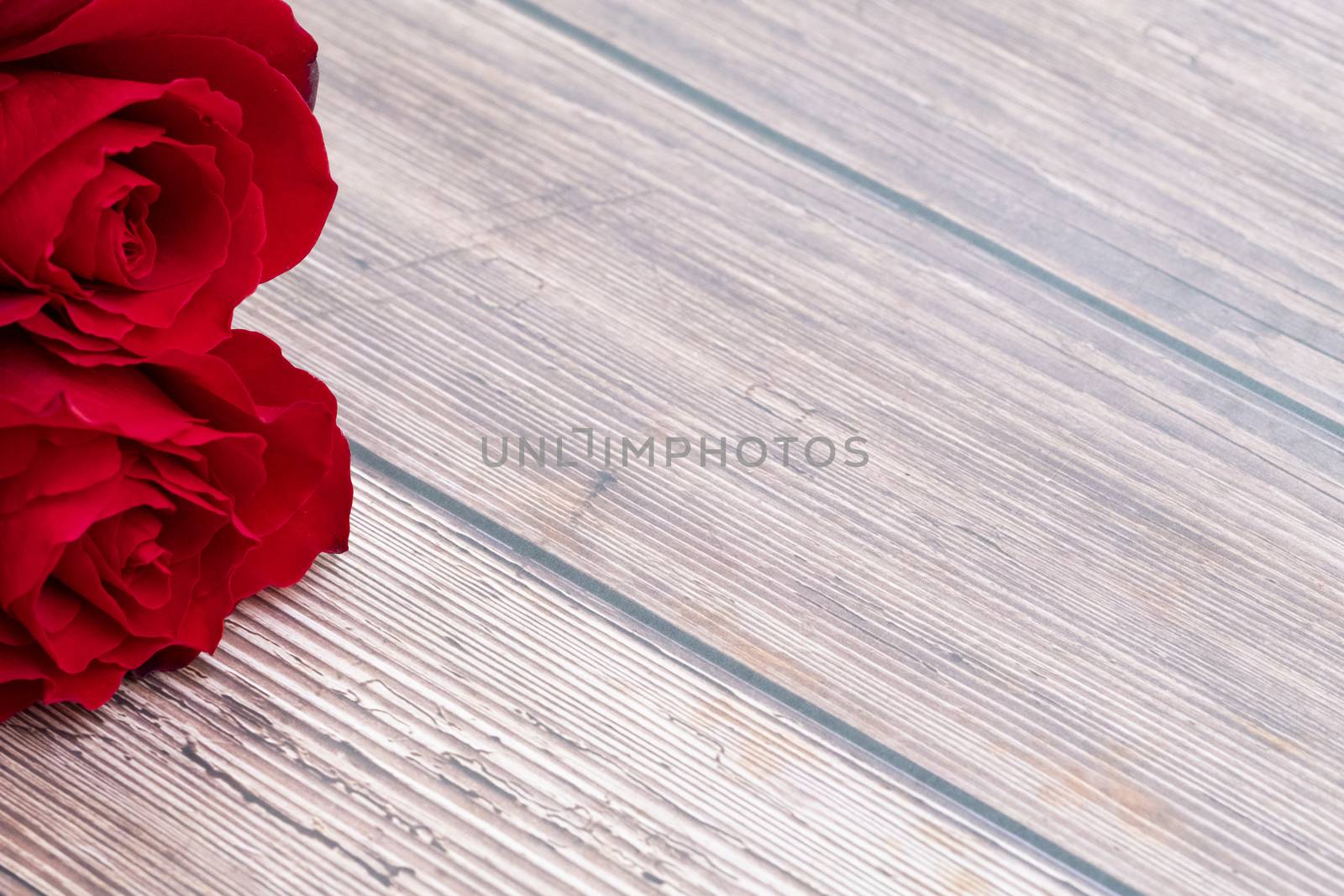 beautiful red roses on brown wooden background. Copy space.