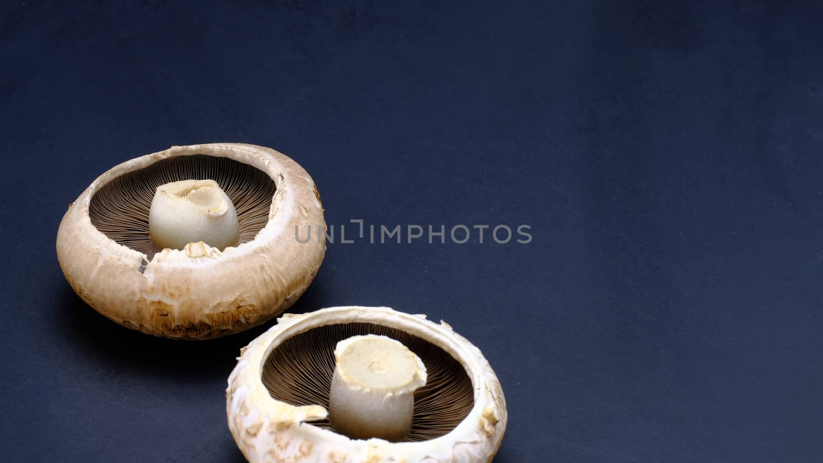 two large creamy brown portobello mushroom on black background