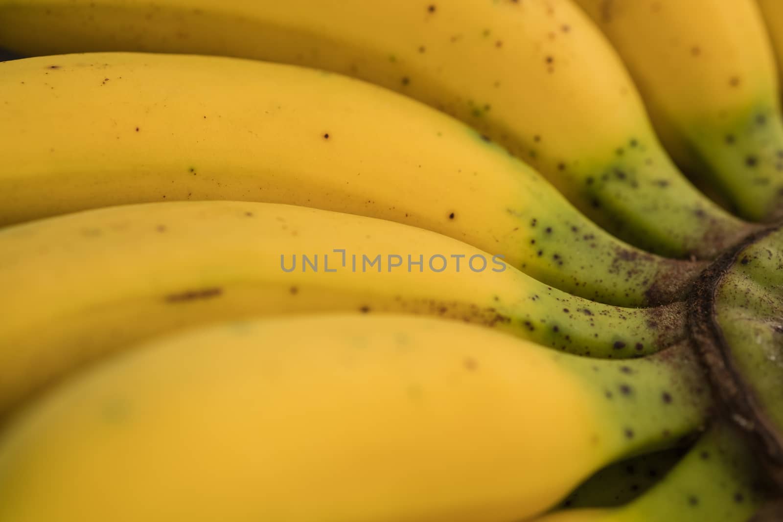 a bunch of banana